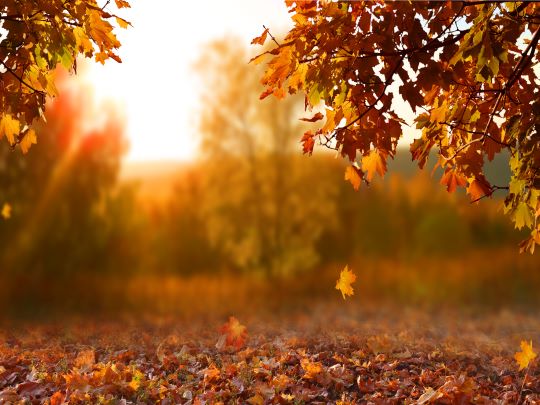 Self-Care Tips for Fall